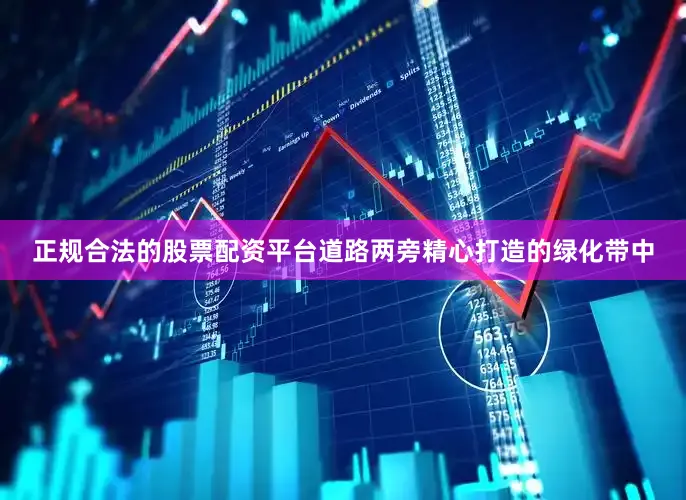 正规合法的股票配资平台道路两旁精心打造的绿化带中