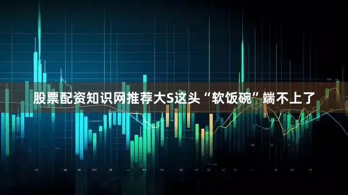 股票配资知识网推荐大S这头“软饭碗”端不上了